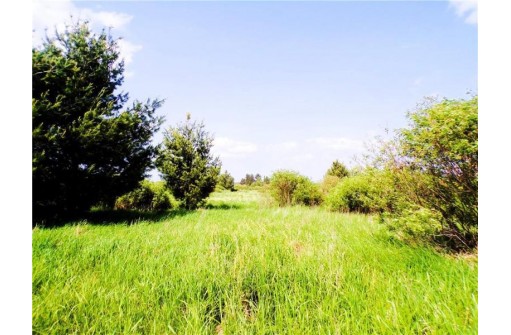 25 ACRES ON Progressive Road, Tony, WI 54563