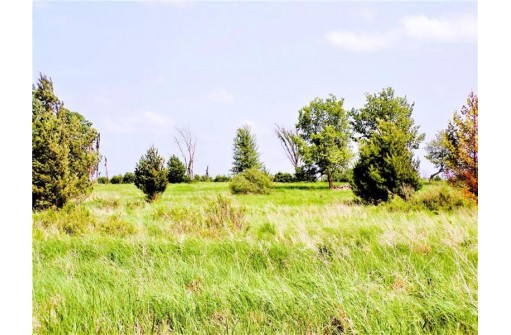 25 ACRES ON Progressive Road, Tony, WI 54563