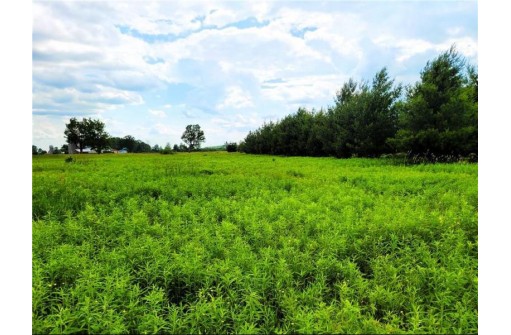 25 ACRES ON Progressive Road, Tony, WI 54563