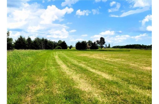 25 ACRES ON Progressive Road, Tony, WI 54563