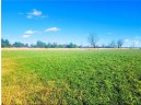 25 ACRES ON Progressive Road, Tony, WI 54563