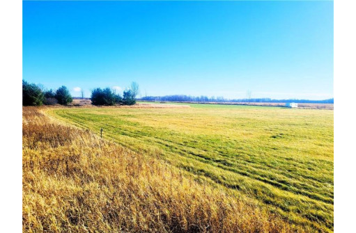 25 ACRES ON Progressive Road, Tony, WI 54563