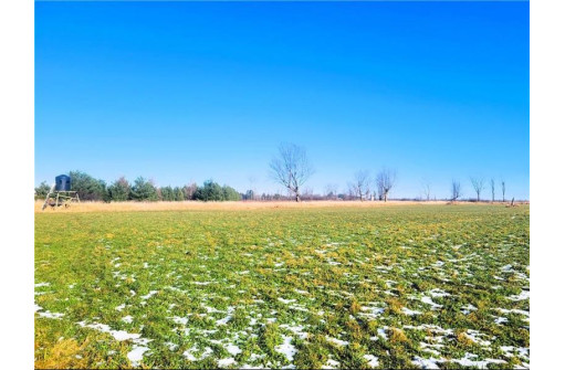 25 ACRES ON Progressive Road, Tony, WI 54563