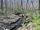 23.3 ACRES Prt Nese S11 T37n R09w Birchwood, WI 54843