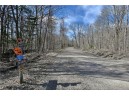 23.3 ACRES Prt Nese S11 T37n R09w, Birchwood, WI 54843