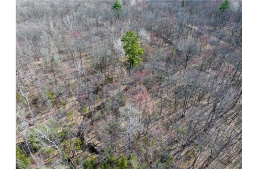 23.3 ACRES Prt Nese S11 T37n R09w, Birchwood, WI 54843