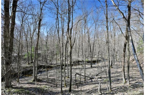 23.3 ACRES Prt Nese S11 T37n R09w, Birchwood, WI 54843