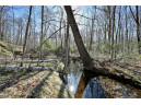 23.3 ACRES Prt Nese S11 T37n R09w, Birchwood, WI 54843