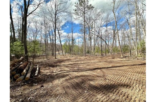 LOT 4 Tranquility Lane, Radisson, WI 54867