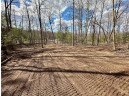 LOT 4 Tranquility Lane, Radisson, WI 54867