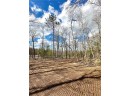 LOT 4 Tranquility Lane, Radisson, WI 54867