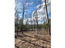 LOT 4 Tranquility Lane, Radisson, WI 54867