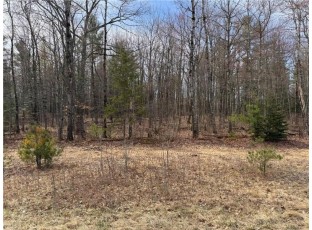 LOT 0 Hwy 77 Hayward, WI 54843