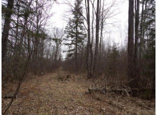40+/- ACRES Off Wright Road Winter, WI 54896