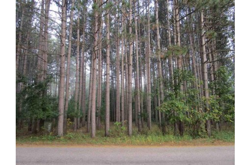 Covered Bridge Road, Waupaca, WI 54981-9193