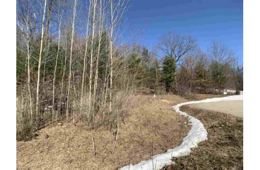 Lime Ridge Road, Shawano, WI 54166-0000