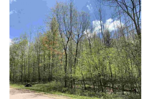 Lime Ridge Road, Shawano, WI 54166-0000