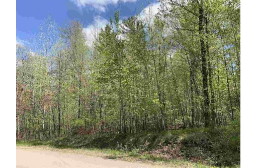 Oak View Drive, Shawano, WI 54166-0000