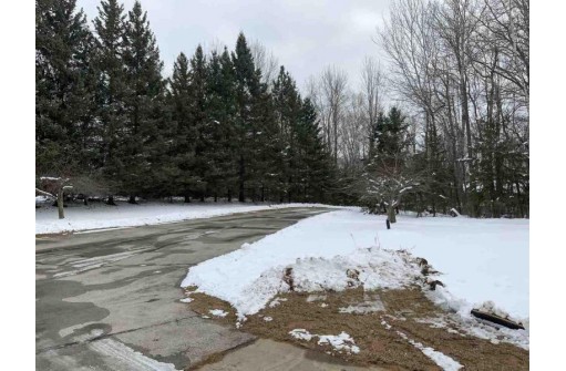 2454 Forest Meadows Court, Green Bay, WI 54313-7873