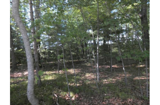 Loon Lake Circle, Shawano, WI 54166