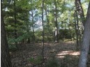 Loon Lake Circle, Shawano, WI 54166