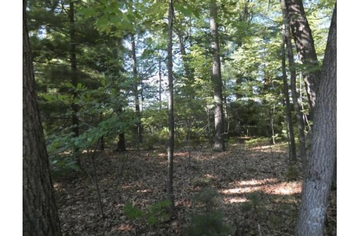 Loon Lake Circle, Shawano, WI 54166