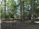 Loon Lake Circle, Shawano, WI 54166