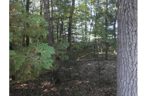 Loon Lake Circle, Shawano, WI 54166