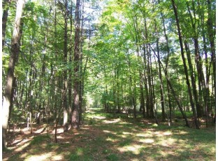 Timber Trail Suamico, WI 54713-8241