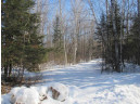 Plantation Lane, Crandon, WI 54520