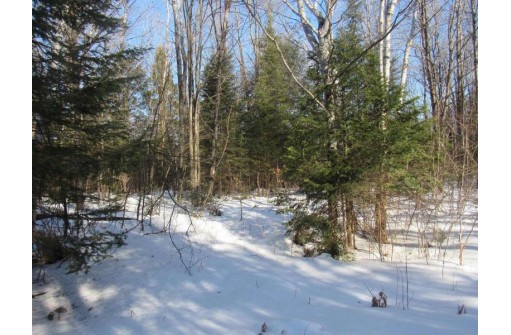 Plantation Lane, Crandon, WI 54520