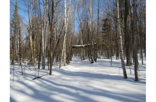 Plantation Lane, Crandon, WI 54520