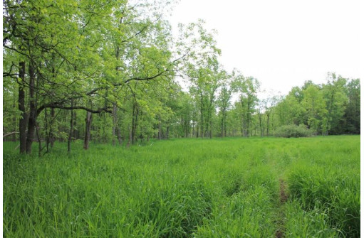 Sundew Road, Abrams, WI 54101