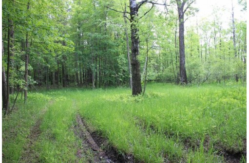 Sundew Road, Abrams, WI 54101