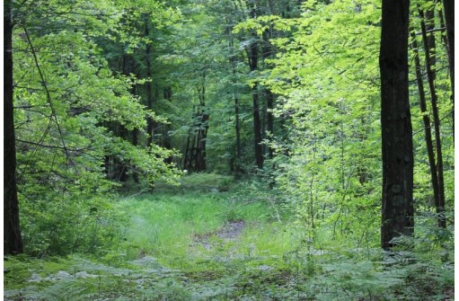 Sundew Road, Abrams, WI 54101