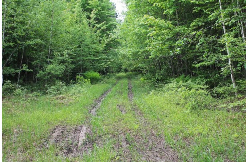 Sundew Road, Abrams, WI 54101