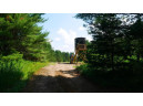 Tamarack Lane, Irma, WI 54442