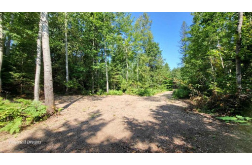 Tamarack Lane, Irma, WI 54442