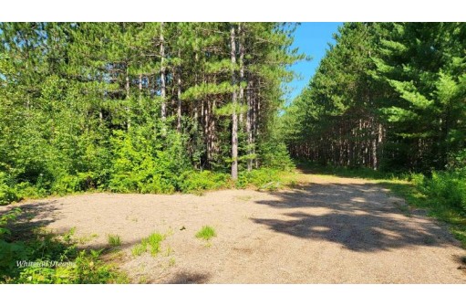 Tamarack Lane, Irma, WI 54442