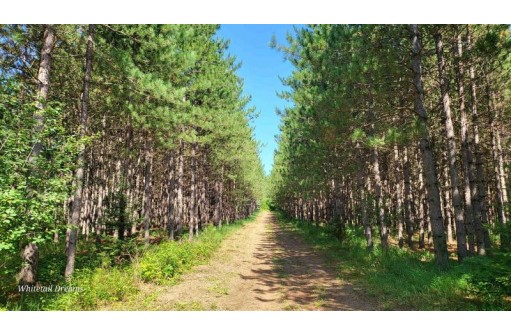 Tamarack Lane, Irma, WI 54442