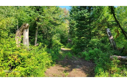 Tamarack Lane, Irma, WI 54442