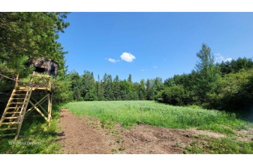 Tamarack Lane, Irma, WI 54442