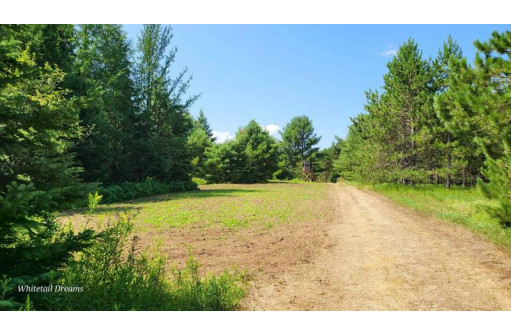 Tamarack Lane, Irma, WI 54442