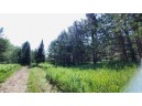 Tamarack Lane, Irma, WI 54442