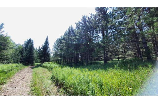 Tamarack Lane, Irma, WI 54442