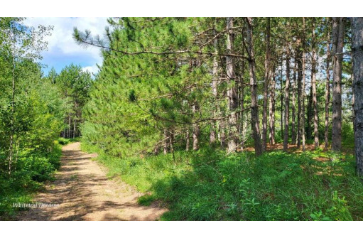 Tamarack Lane, Irma, WI 54442