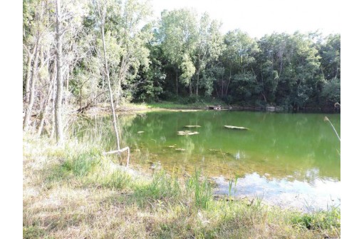 Sand Pit Road, Omro, WI 54963