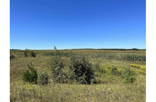 County J Road, Tigerton, WI 54486-0000