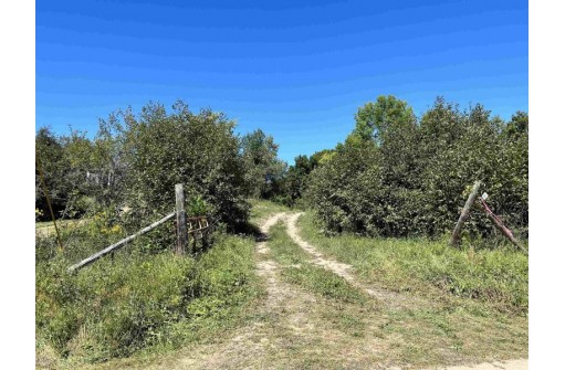 County J Road, Tigerton, WI 54486-0000