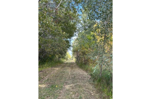 Krueger Road, Black Creek, WI 54106